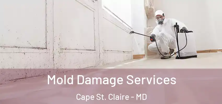 Mold Damage Services Cape St. Claire - MD