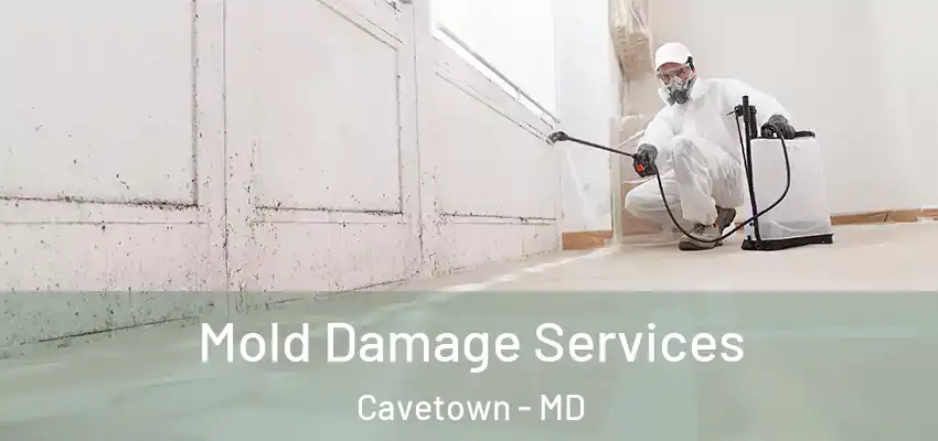  Mold Damage Services Cavetown - MD
