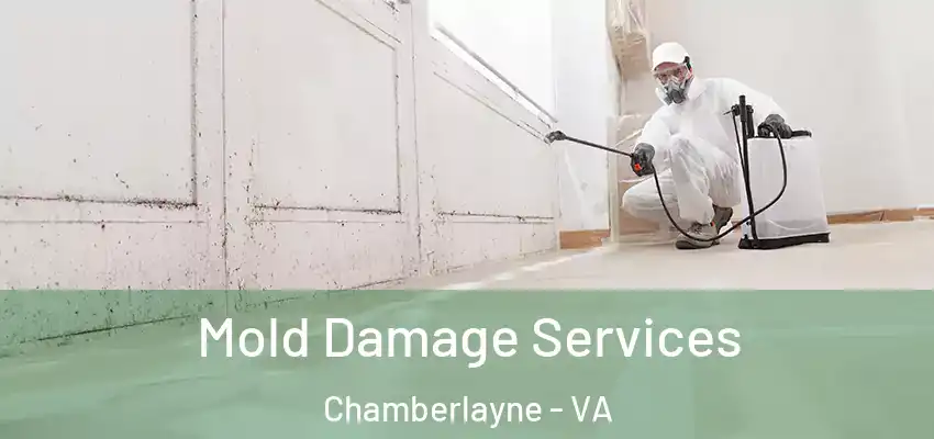  Mold Damage Services Chamberlayne - VA