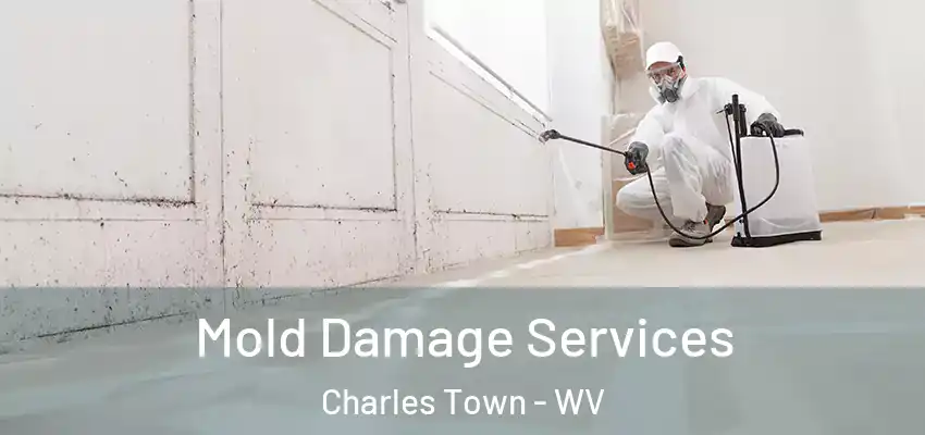  Mold Damage Services Charles Town - WV