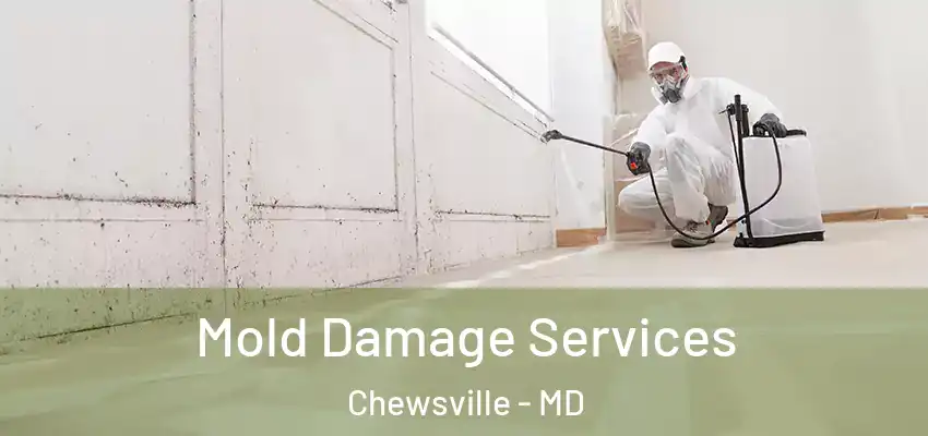  Mold Damage Services Chewsville - MD