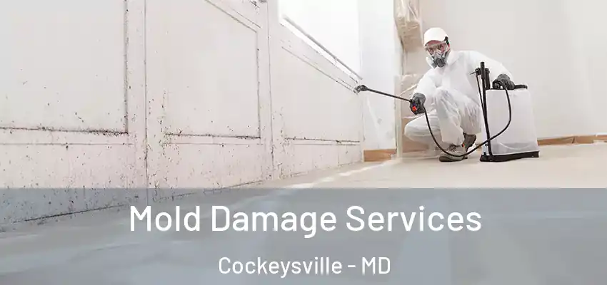  Mold Damage Services Cockeysville - MD