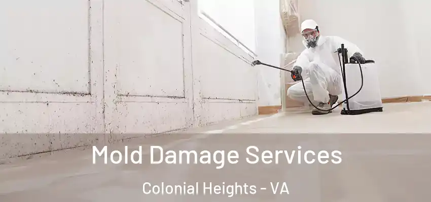  Mold Damage Services Colonial Heights - VA
