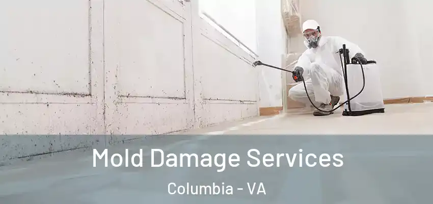  Mold Damage Services Columbia - VA