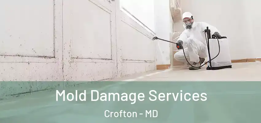 Mold Damage Services Crofton - MD