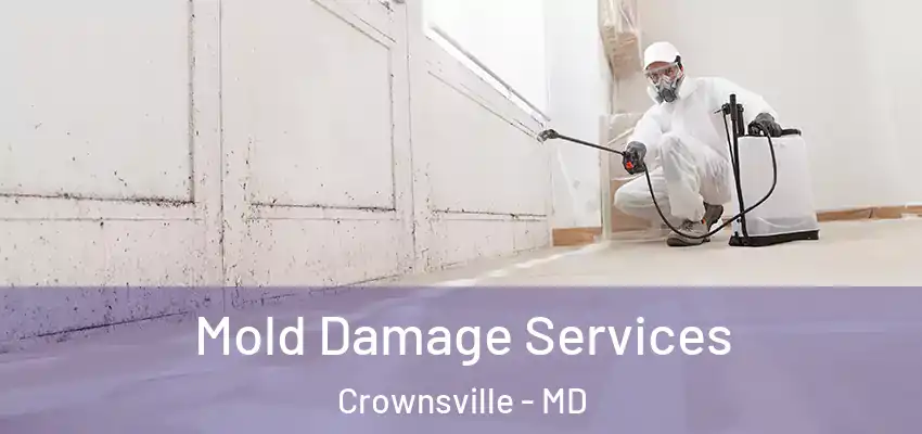 Mold Damage Services Crownsville - MD