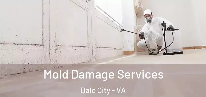 Mold Damage Services Dale City - VA