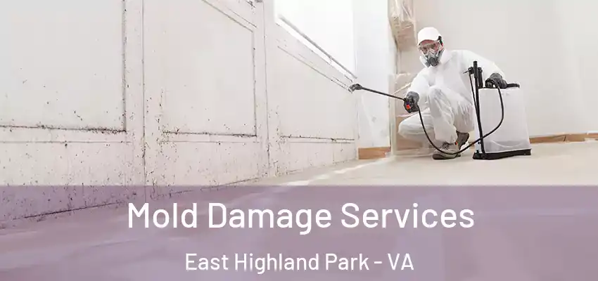  Mold Damage Services East Highland Park - VA