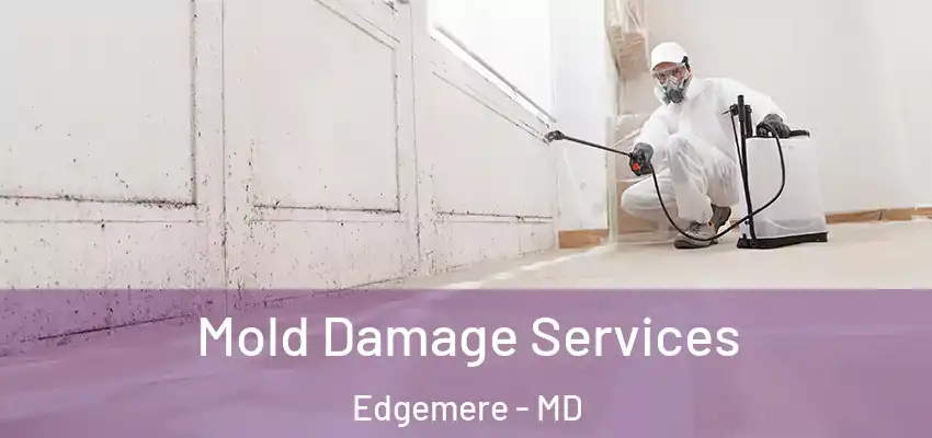 Mold Damage Services Edgemere - MD
