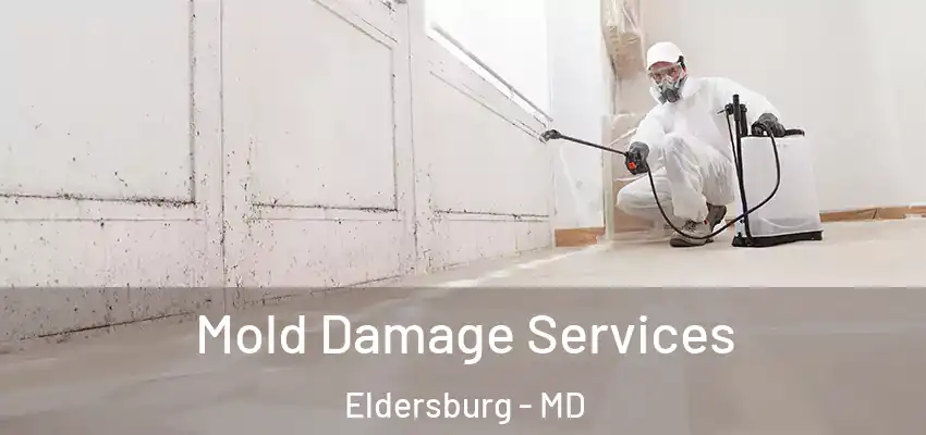 Mold Damage Services Eldersburg - MD