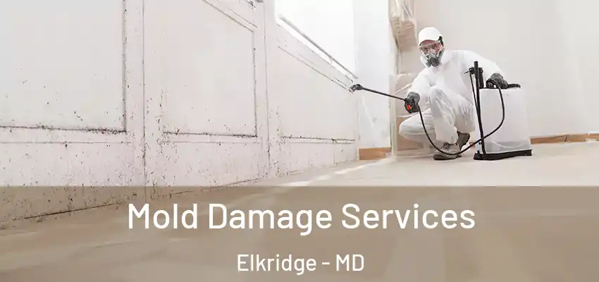 Mold Damage Services Elkridge - MD