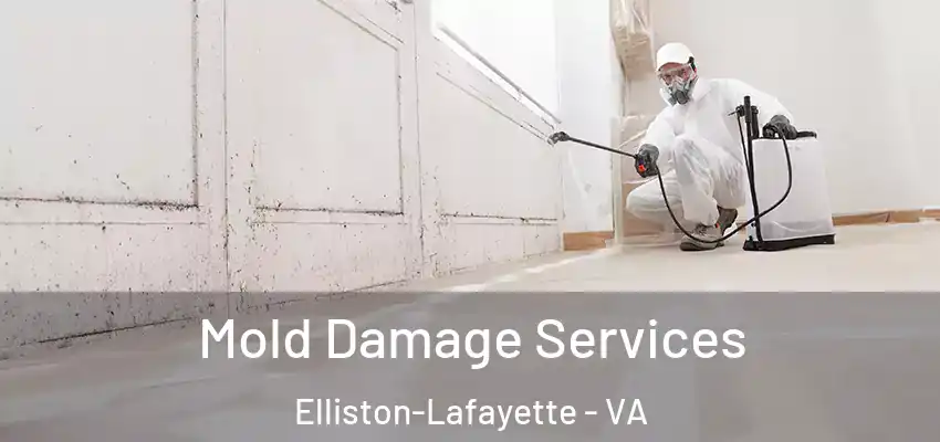 Mold Damage Services Elliston-Lafayette - VA