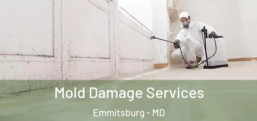Mold Damage Services Emmitsburg - MD