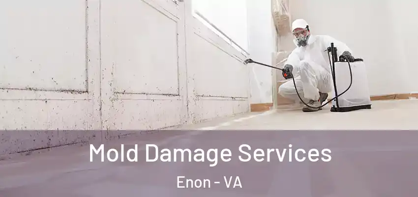  Mold Damage Services Enon - VA