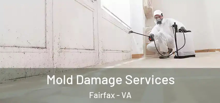  Mold Damage Services Fairfax - VA