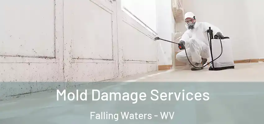  Mold Damage Services Falling Waters - WV