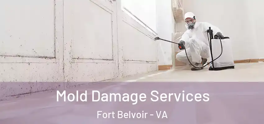Mold Damage Services Fort Belvoir - VA