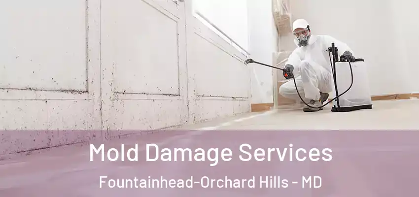  Mold Damage Services Fountainhead-Orchard Hills - MD