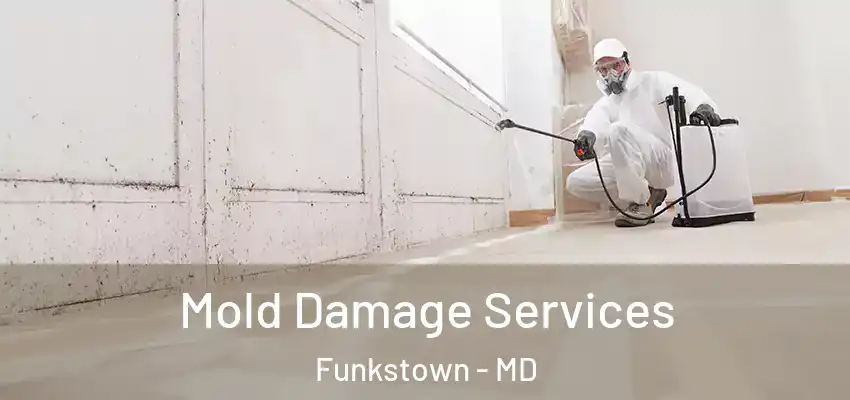 Mold Damage Services Funkstown - MD