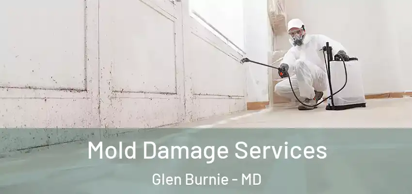  Mold Damage Services Glen Burnie - MD