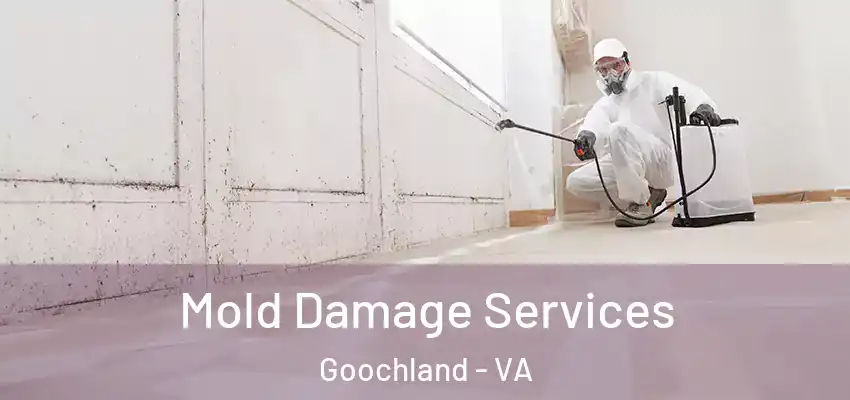 Mold Damage Services Goochland - VA