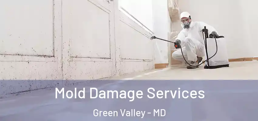Mold Damage Services Green Valley - MD