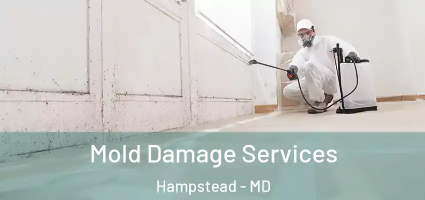  Mold Damage Services Hampstead - MD