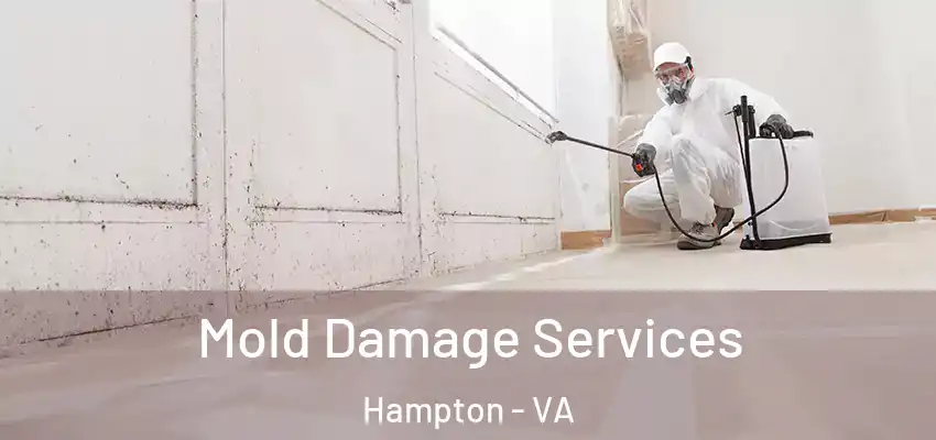 Mold Damage Services Hampton - VA