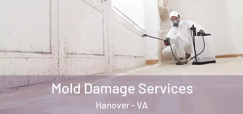  Mold Damage Services Hanover - VA