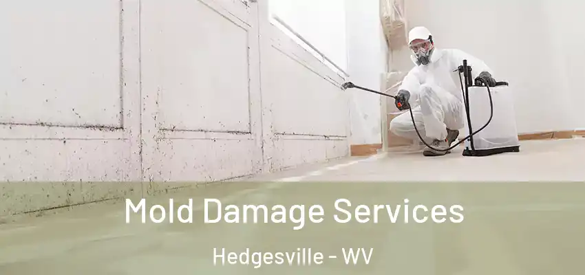  Mold Damage Services Hedgesville - WV
