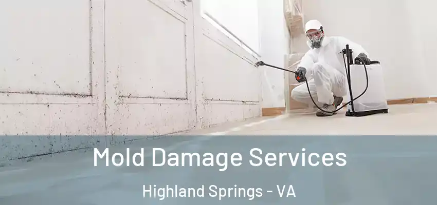 Mold Damage Services Highland Springs - VA