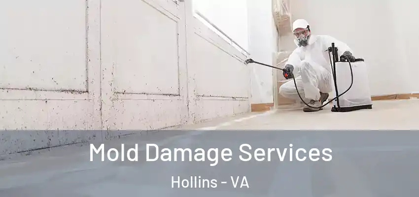 Mold Damage Services Hollins - VA
