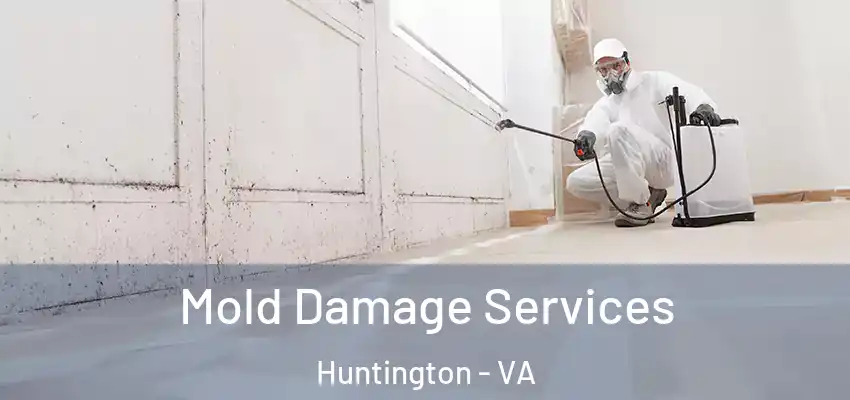  Mold Damage Services Huntington - VA