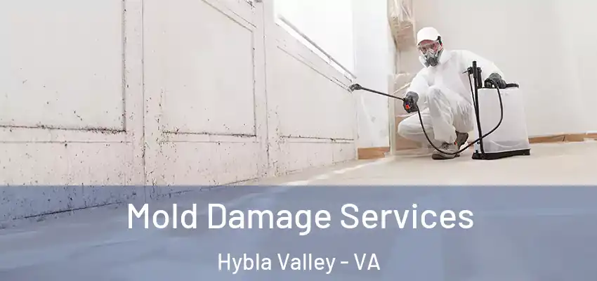 Mold Damage Services Hybla Valley - VA