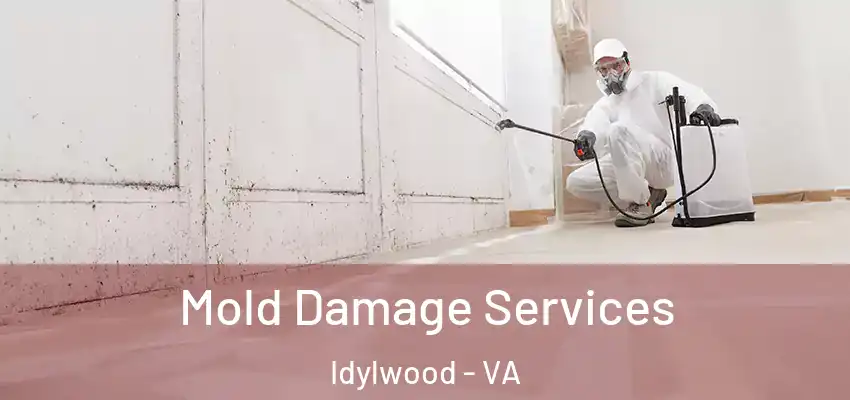 Mold Damage Services Idylwood - VA