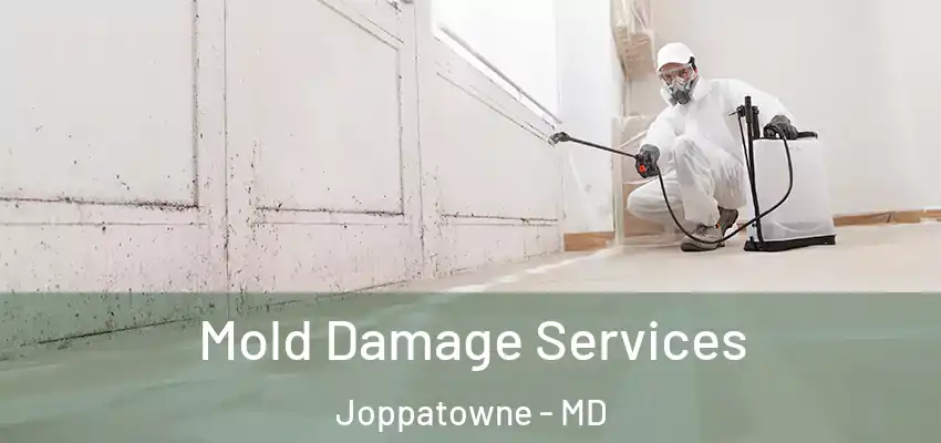  Mold Damage Services Joppatowne - MD