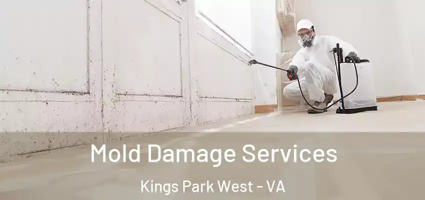 Mold Damage Services Kings Park West - VA