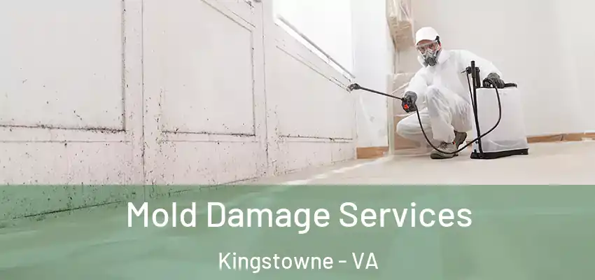  Mold Damage Services Kingstowne - VA