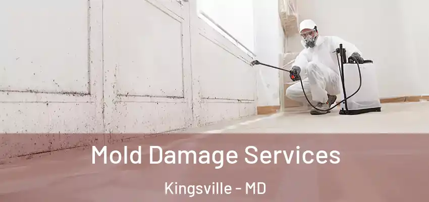  Mold Damage Services Kingsville - MD