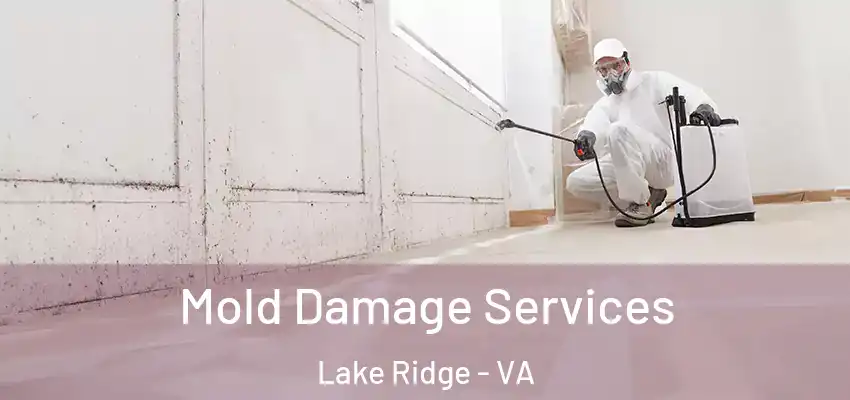 Mold Damage Services Lake Ridge - VA
