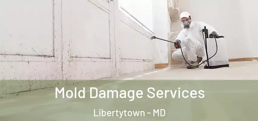 Mold Damage Services Libertytown - MD