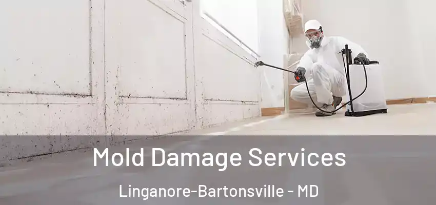 Mold Damage Services Linganore-Bartonsville - MD