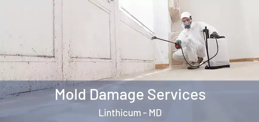  Mold Damage Services Linthicum - MD