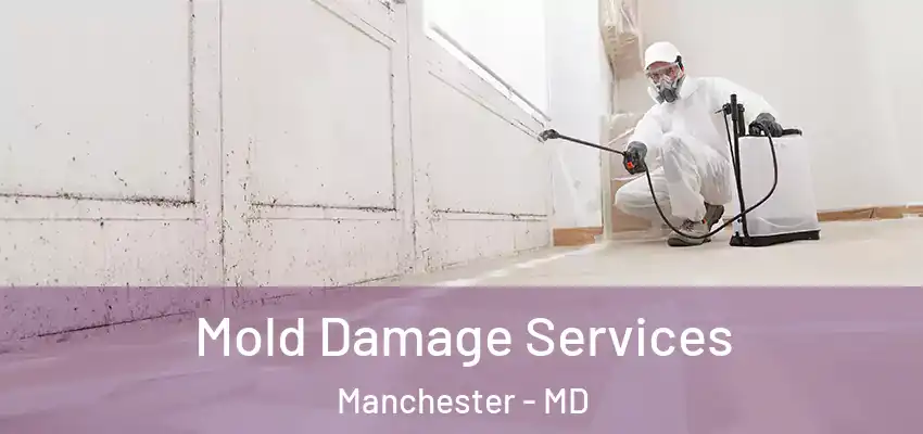 Mold Damage Services Manchester - MD