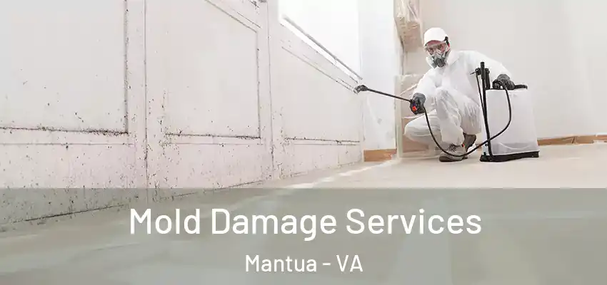 Mold Damage Services Mantua - VA
