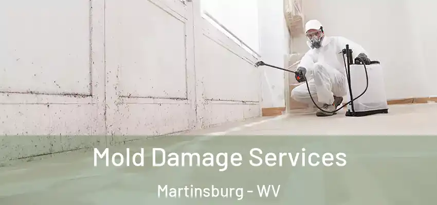  Mold Damage Services Martinsburg - WV