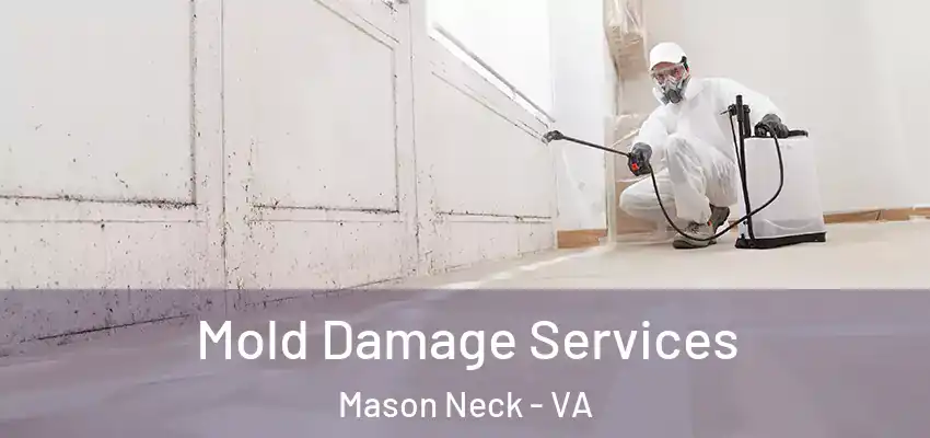 Mold Damage Services Mason Neck - VA