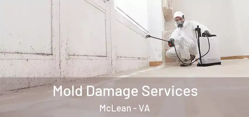  Mold Damage Services McLean - VA