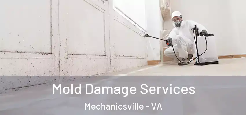  Mold Damage Services Mechanicsville - VA