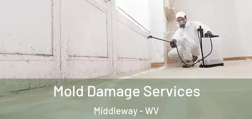  Mold Damage Services Middleway - WV